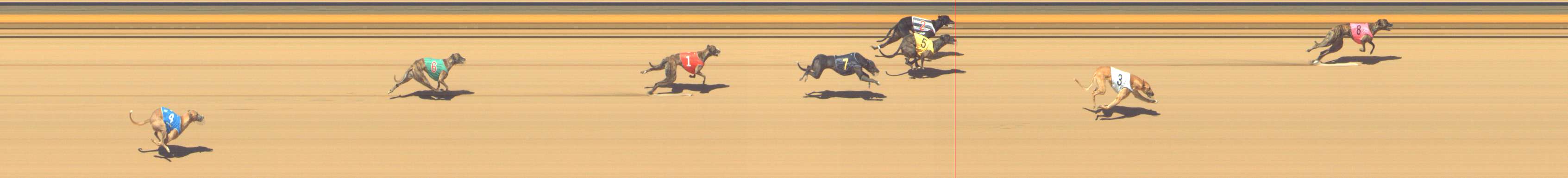 Race result finish photo